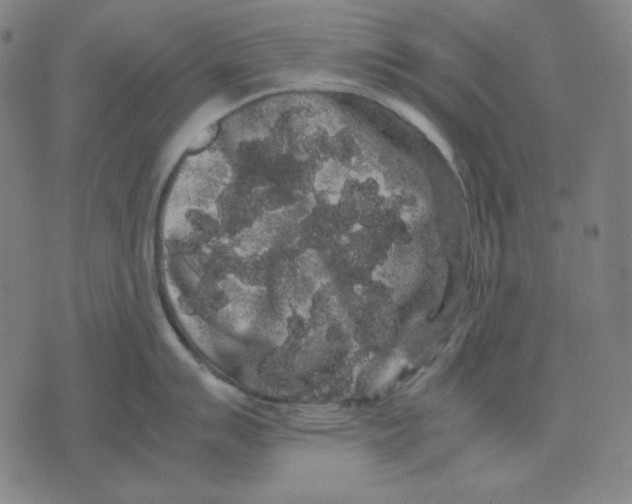 X0000071901007200607281759