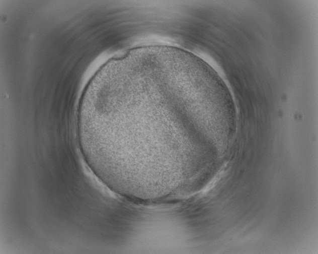 X0000071901008200607281758