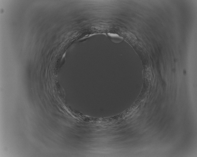 X0000071901009200607281758