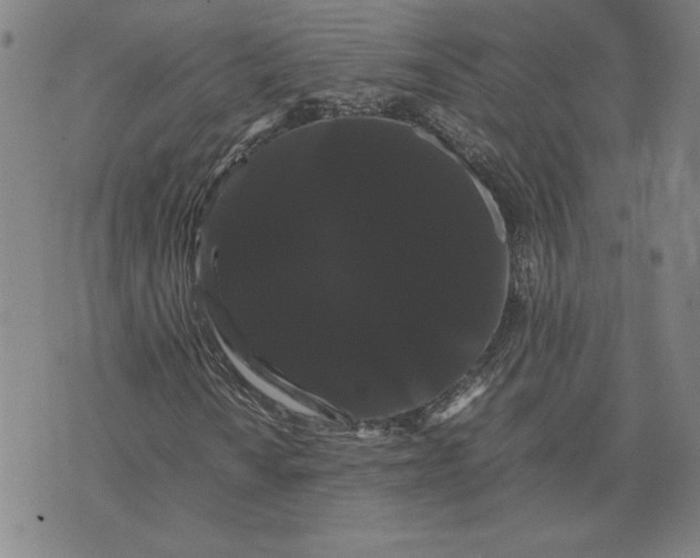 X0000071901010200607281758