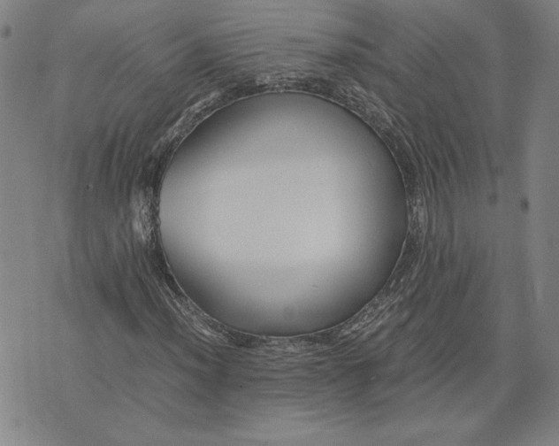 X0000071901012200607281758