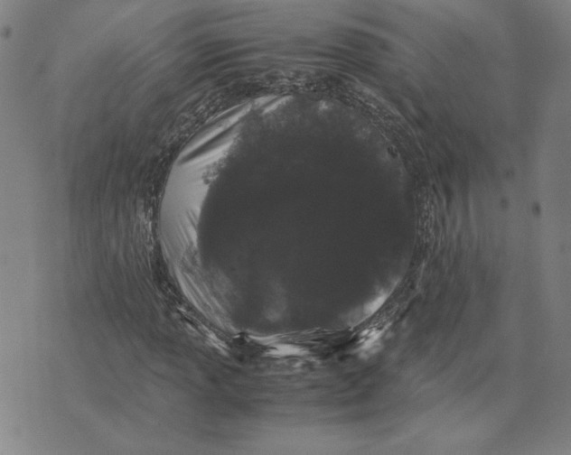 X0000071901013200607281758