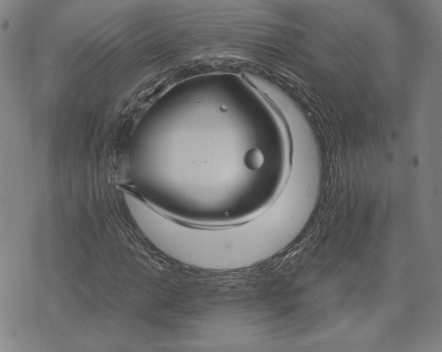 X0000071901014200607281758