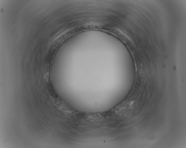 X0000071901015200607281758