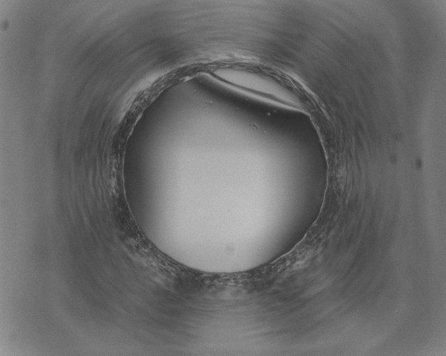 X0000071901016200607281758