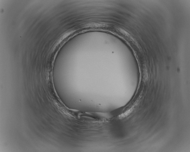 X0000071901017200607281758