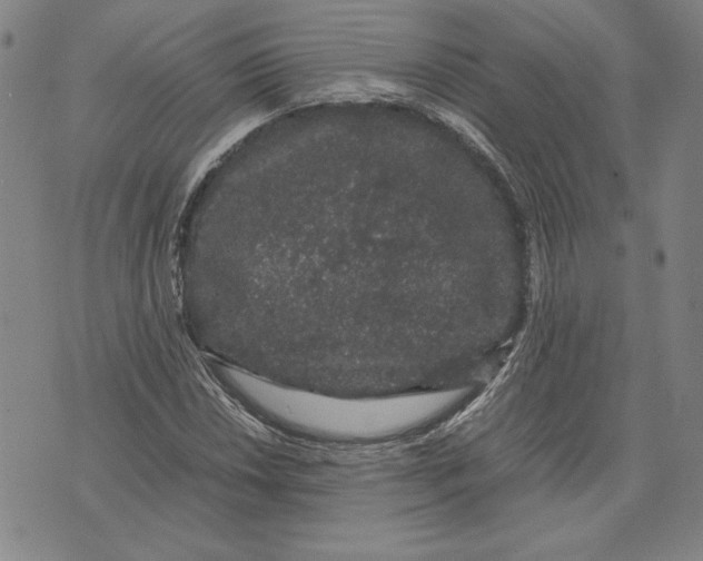 X0000071901018200607281758