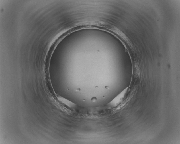 X0000071901020200607281758