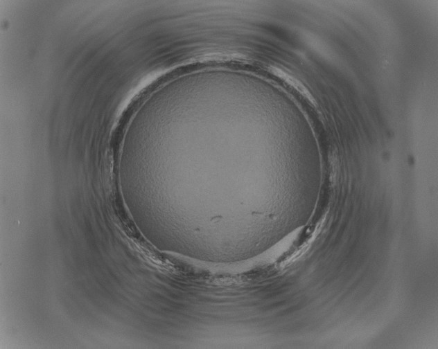 X0000071901021200607281758