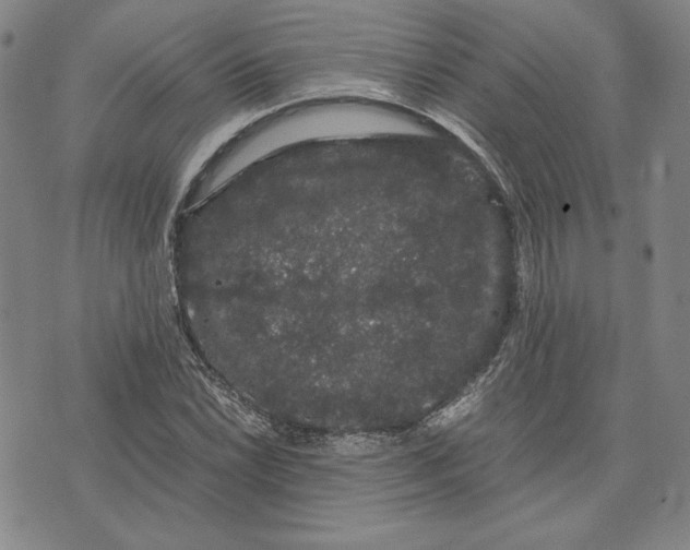 X0000071901022200607281758