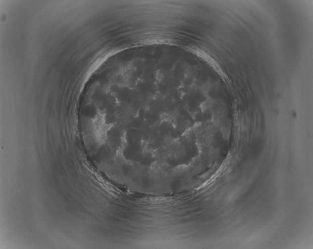 X0000071901023200607281758