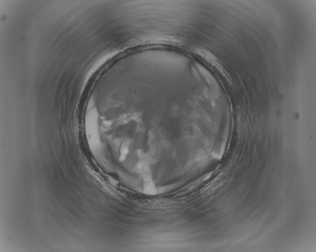 X0000071901024200607281758