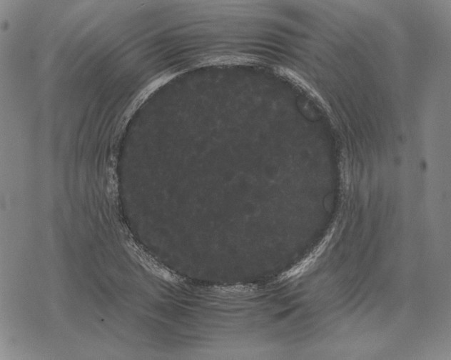 X0000071901025200607281758