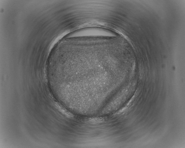 X0000071901026200607281758