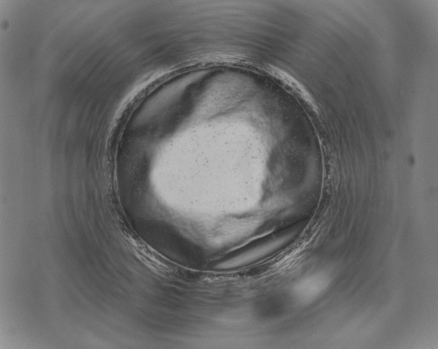 X0000071901027200607281758