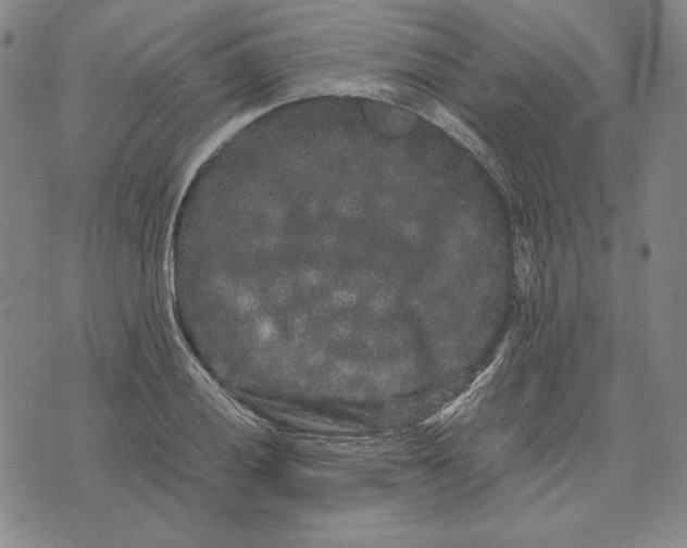 X0000071901028200607281758