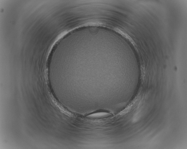 X0000071901029200607281758