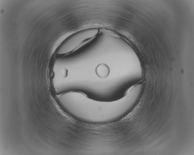 X0000071901030200607281758