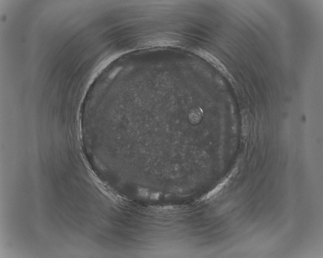 X0000071901031200607281758