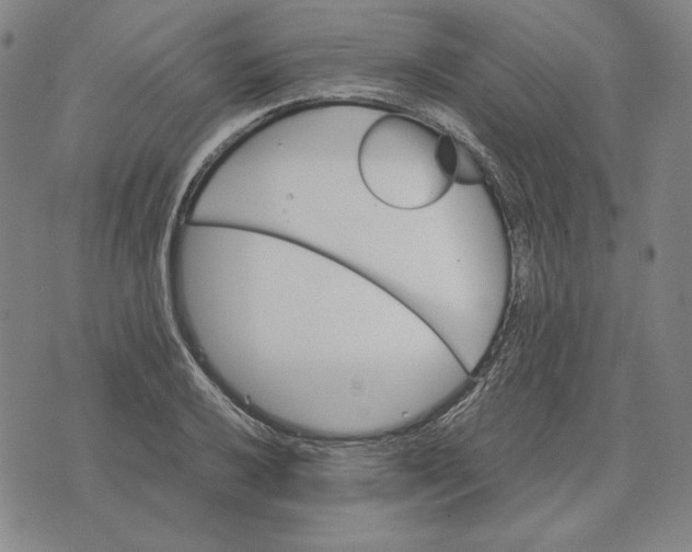 X0000071901032200607281758