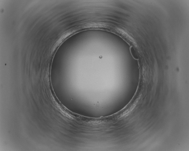 X0000071901033200607281758