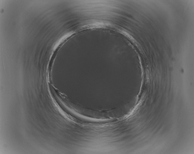 X0000071901034200607281758