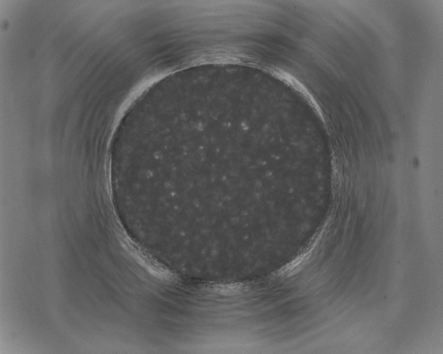 X0000071901035200607281758