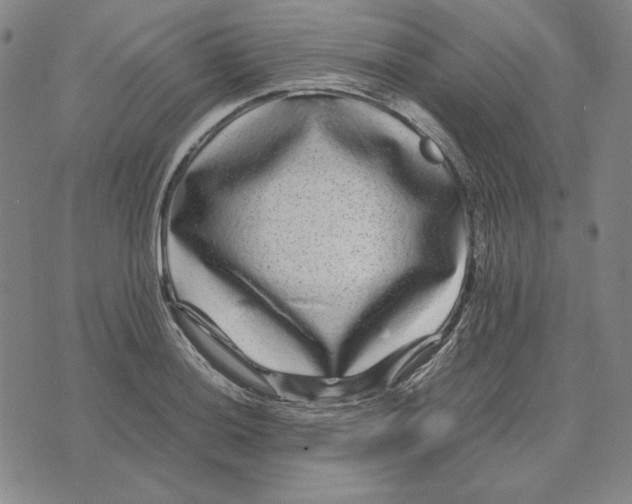 X0000071901036200607281758