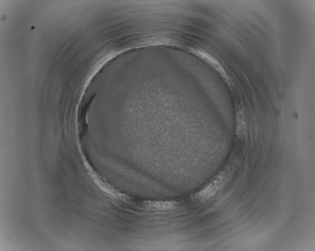 X0000071901039200607281758