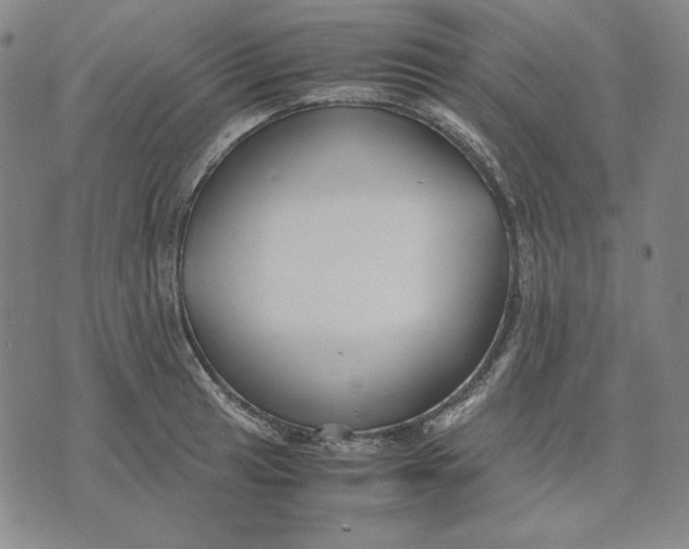 X0000071901041200607281758