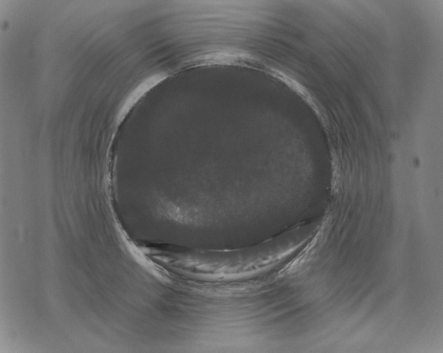 X0000071901042200607281758