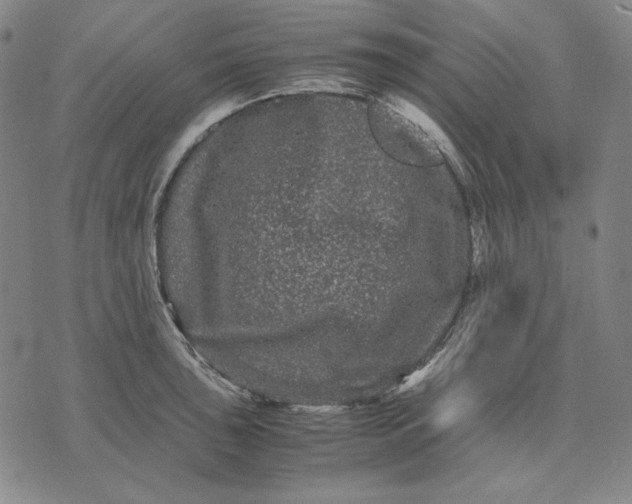 X0000071901043200607281758