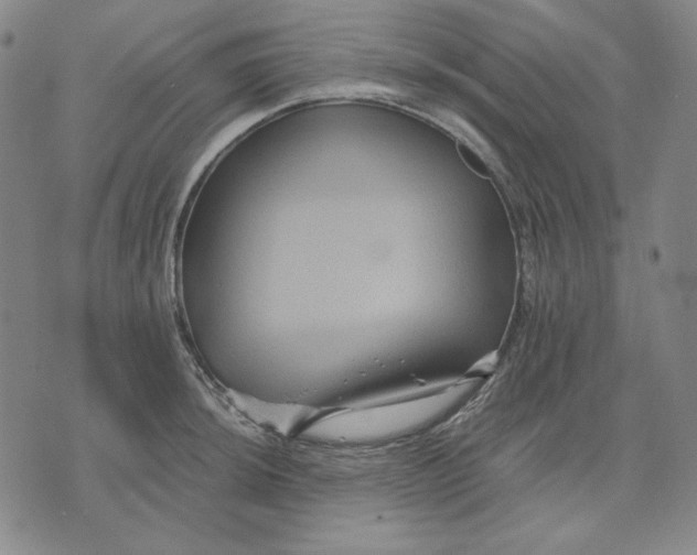 X0000071901044200607281758