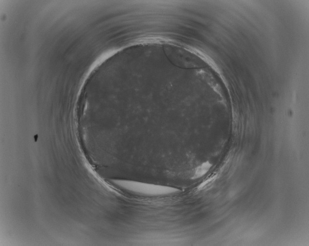 X0000071901045200607281758