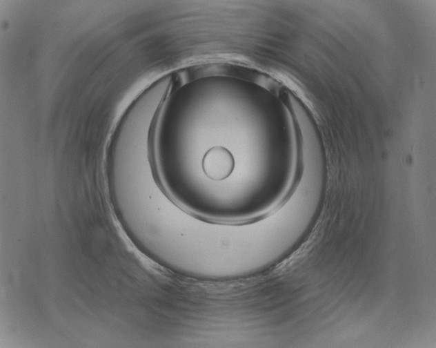 X0000071901046200607281758