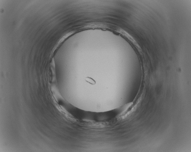 X0000071901049200607281758