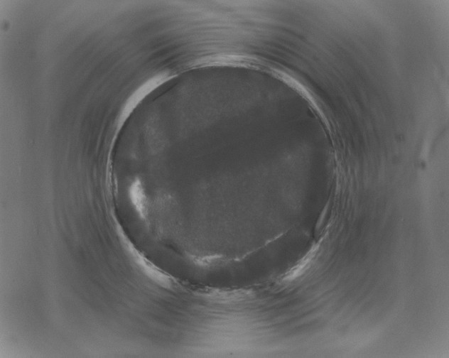 X0000071901050200607281758