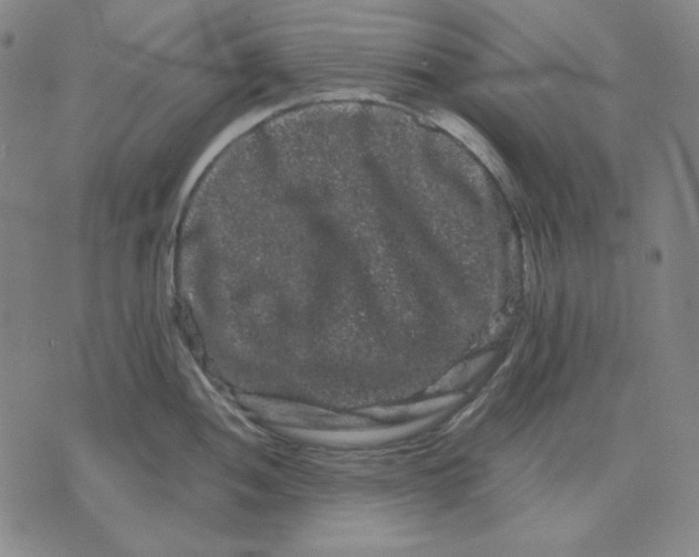 X0000071901052200607281758