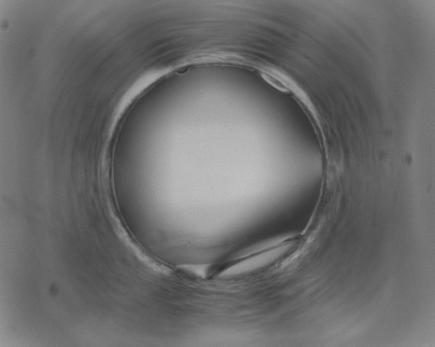 X0000071901053200607281758