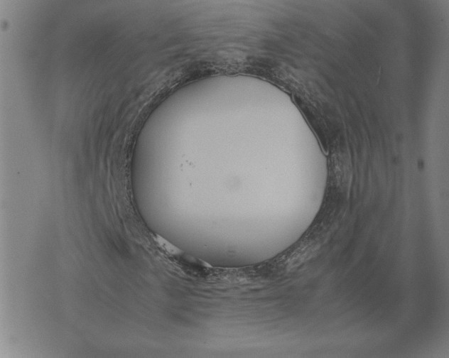 X0000071901057200607281758