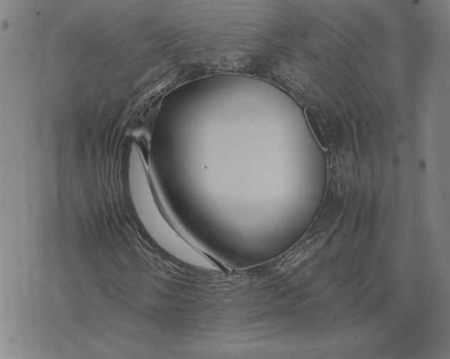 X0000071901058200607281758