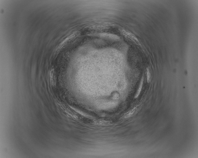 X0000071901059200607281758