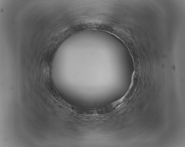 X0000071901061200607281758