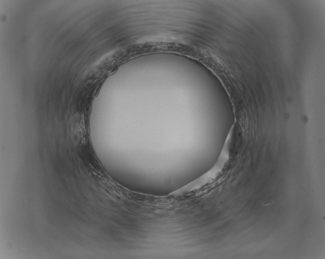 X0000071901062200607281758