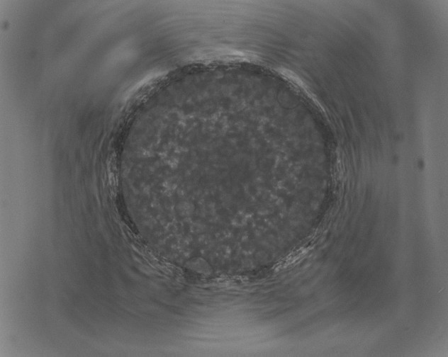 X0000071901063200607281758