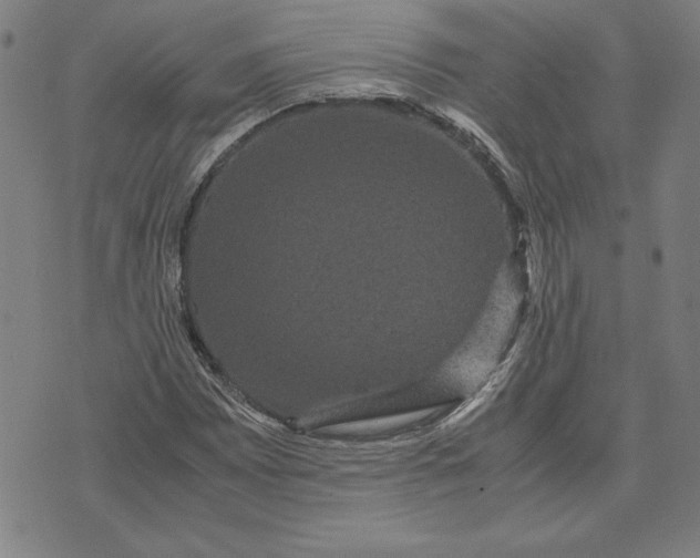 X0000071901065200607281758