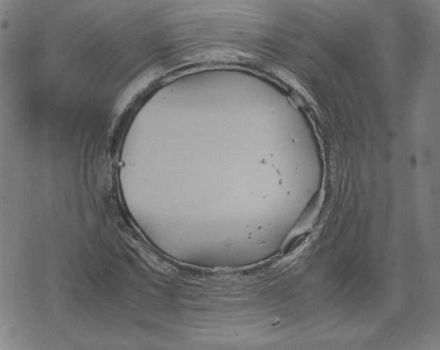 X0000071901067200607281758