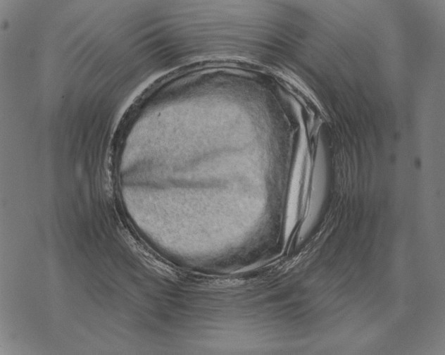 X0000071901068200607281758