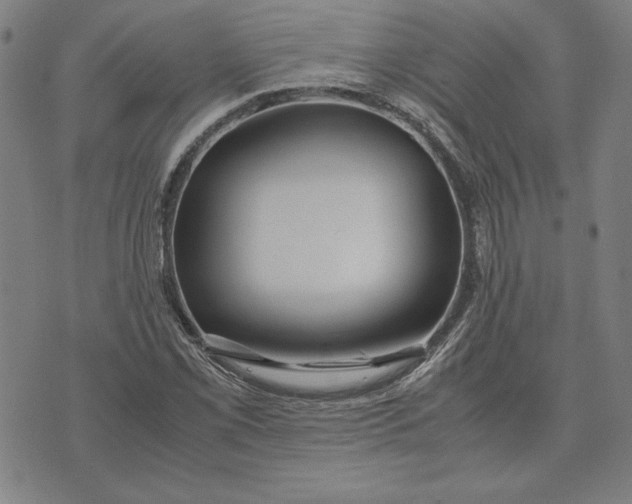 X0000071901069200607281758