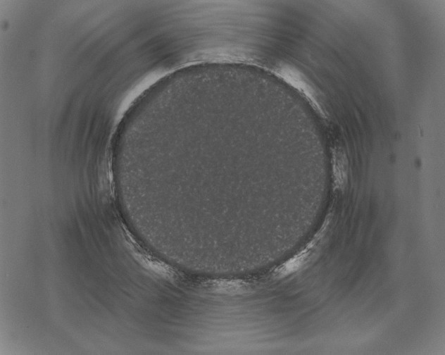 X0000071901070200607281757